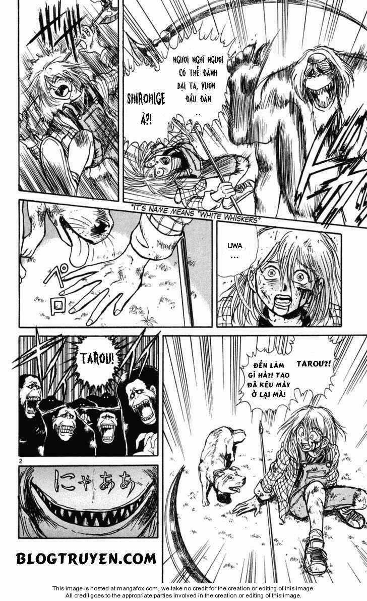 Ushio And Tora - Chapter 235 - Trang 5