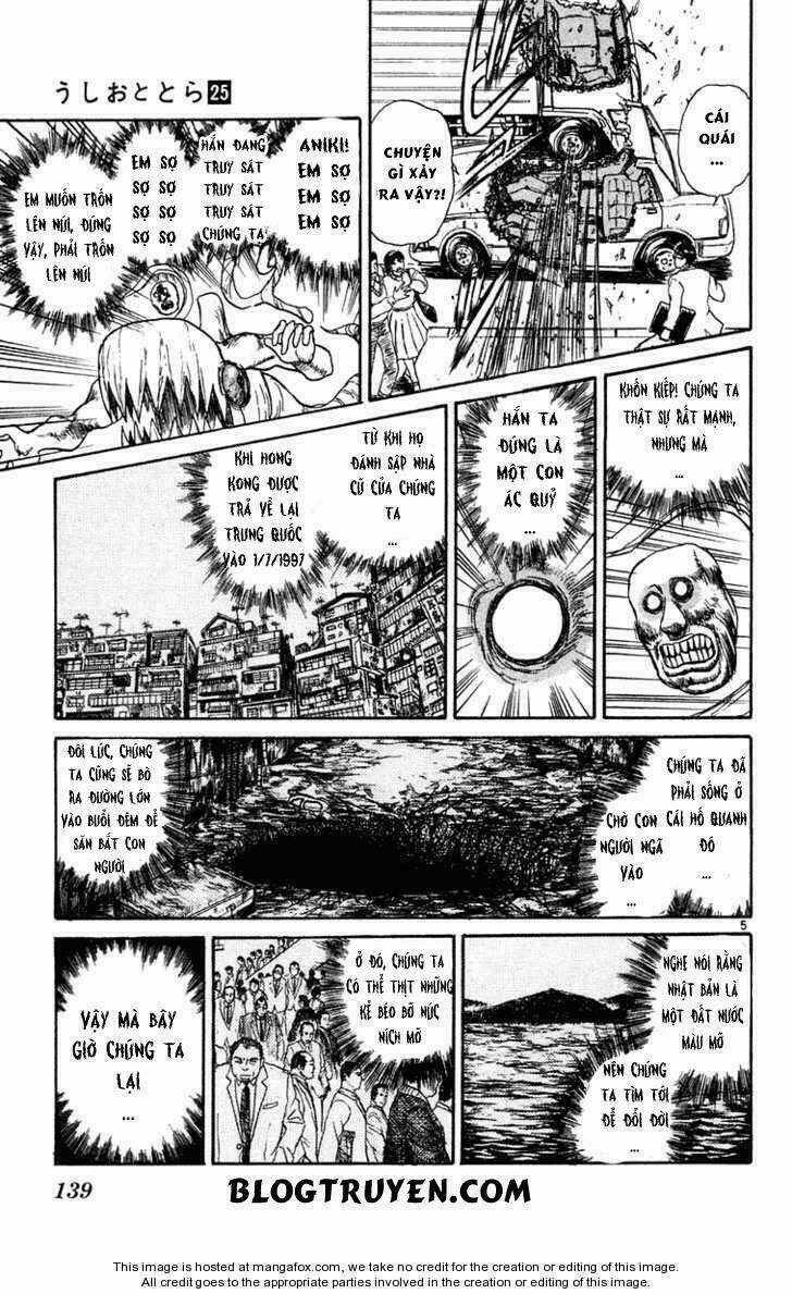 Ushio And Tora - Chapter 236 - Trang 7