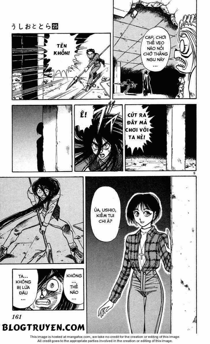 Ushio And Tora - Chapter 237 - Trang 12
