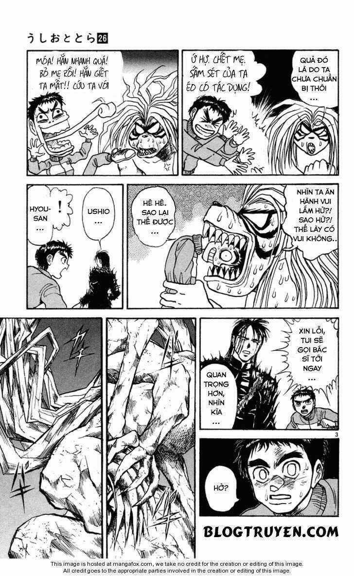 Ushio And Tora - Chapter 246 - Trang 6