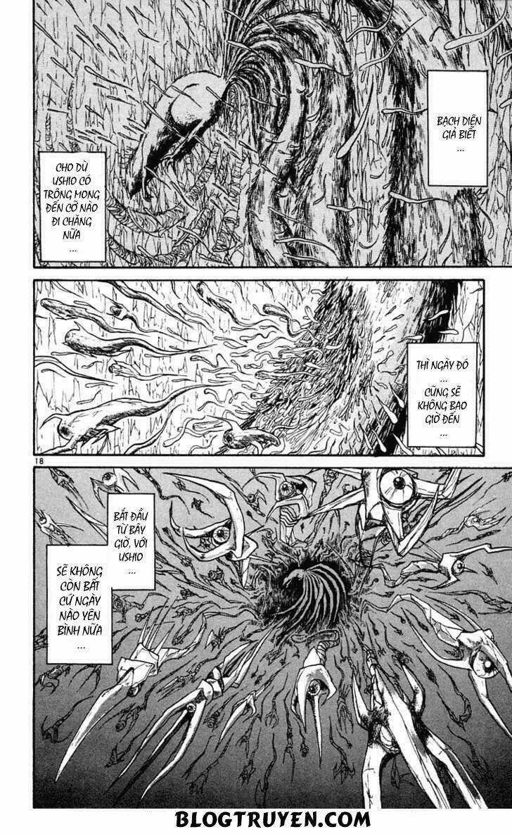 Ushio And Tora - Chapter 247 - Trang 21