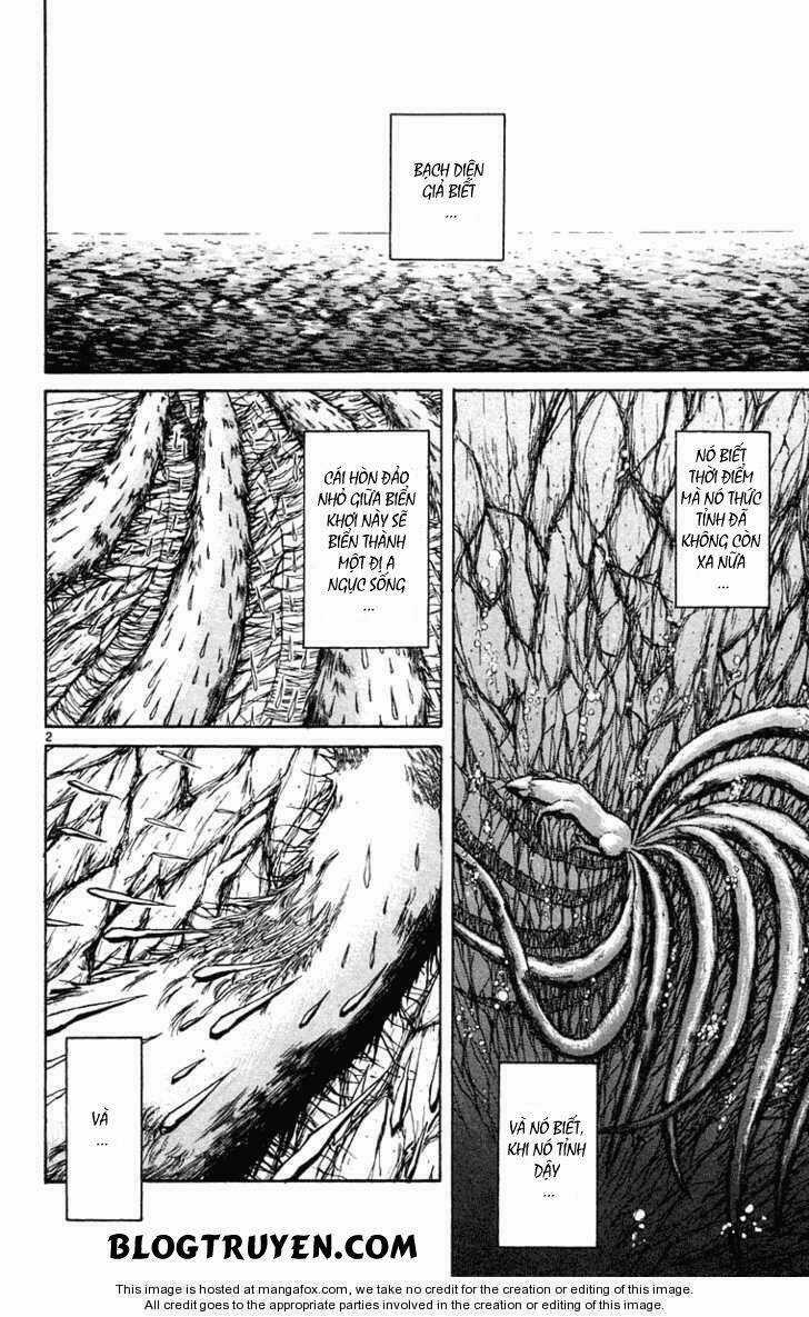 Ushio And Tora - Chapter 247 - Trang 5