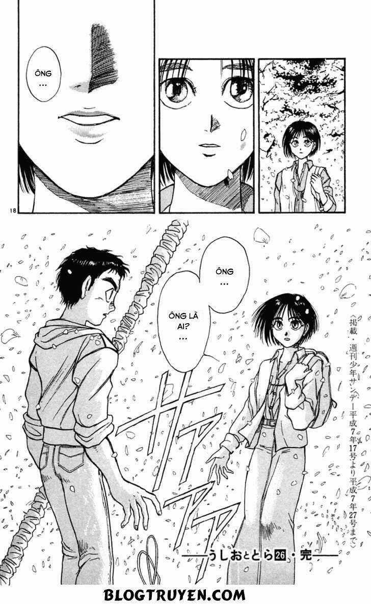 Ushio And Tora - Chapter 248 - Trang 21