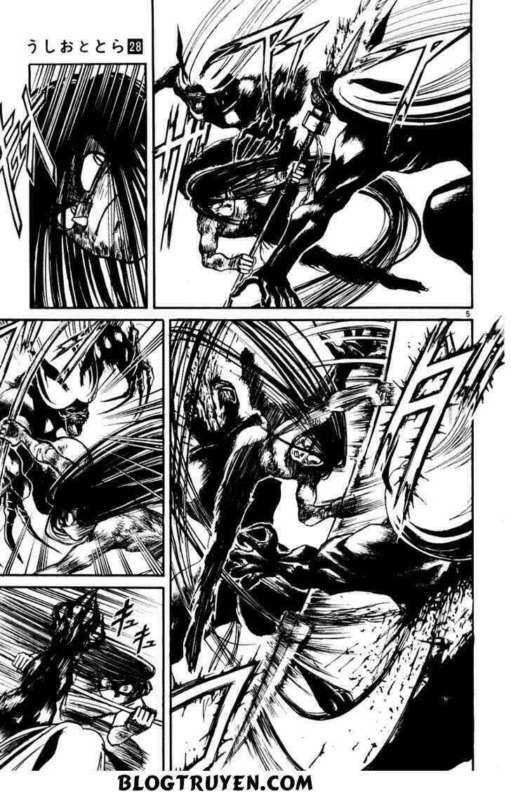 Ushio And Tora - Chapter 259 - Trang 11
