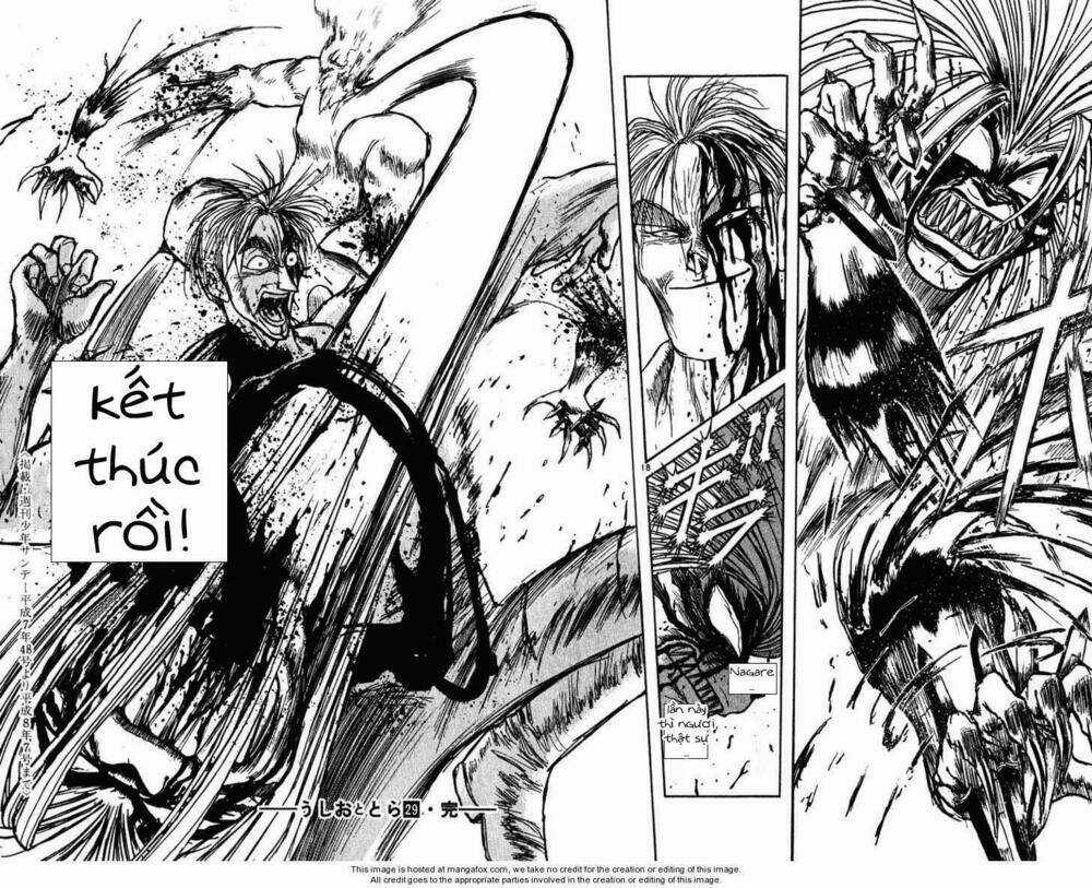 Ushio And Tora - Chapter 277 - Trang 21