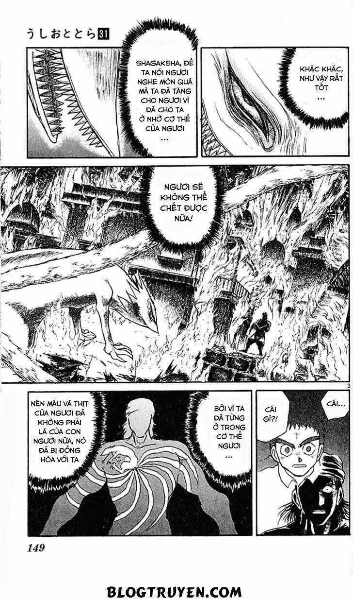 Ushio And Tora - Chapter 295 - Trang 6