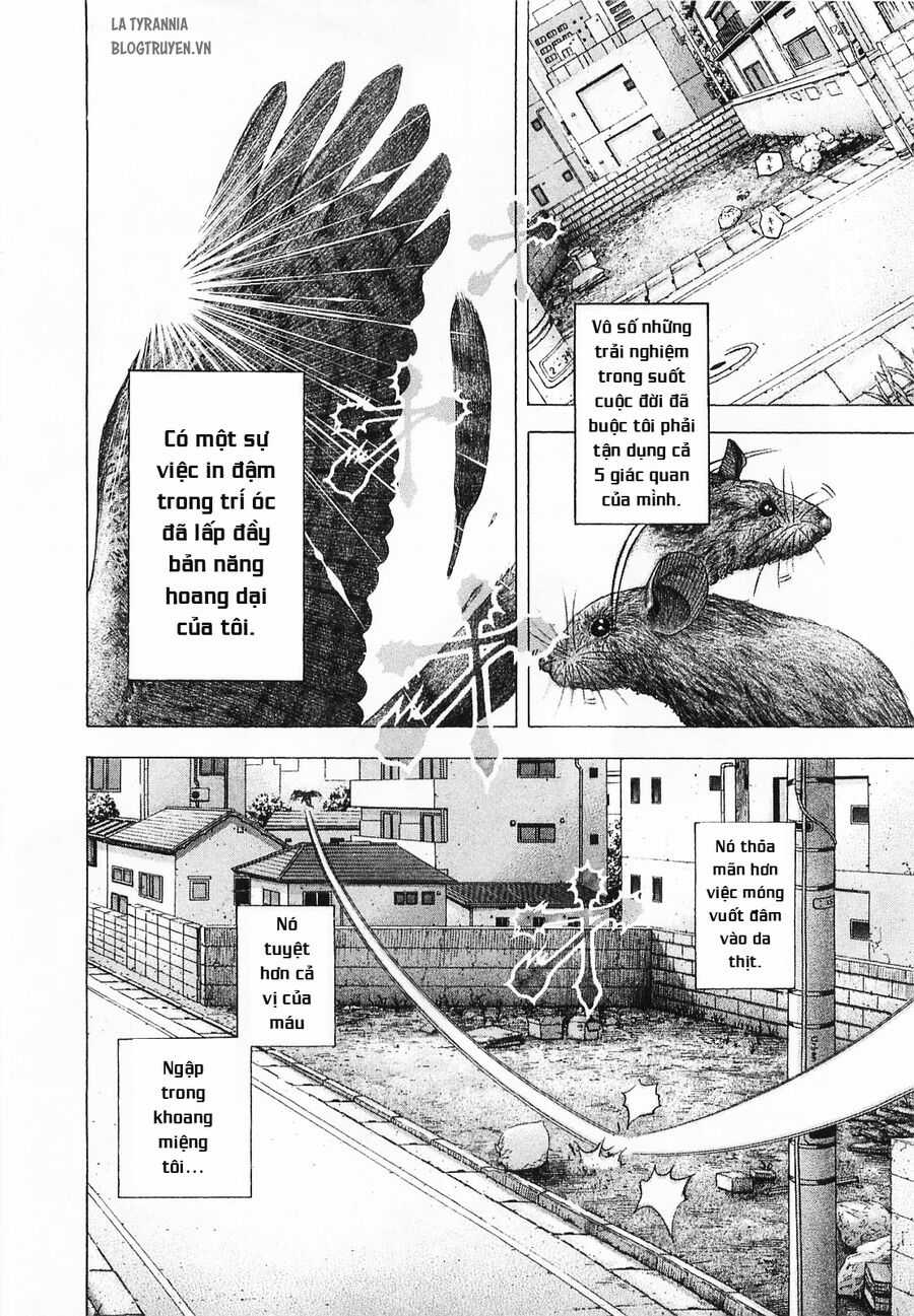 Usogui - Chương 123 - Trang 3