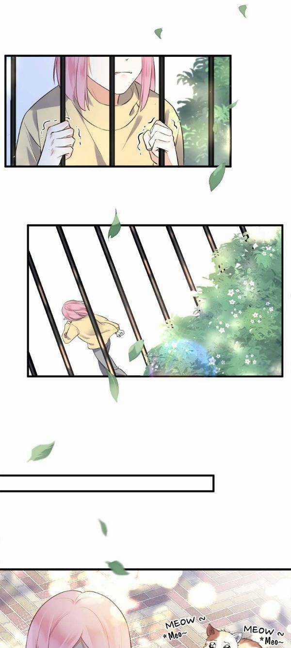 Va Phải Đại Boss - Chapter 26 - Trang 16