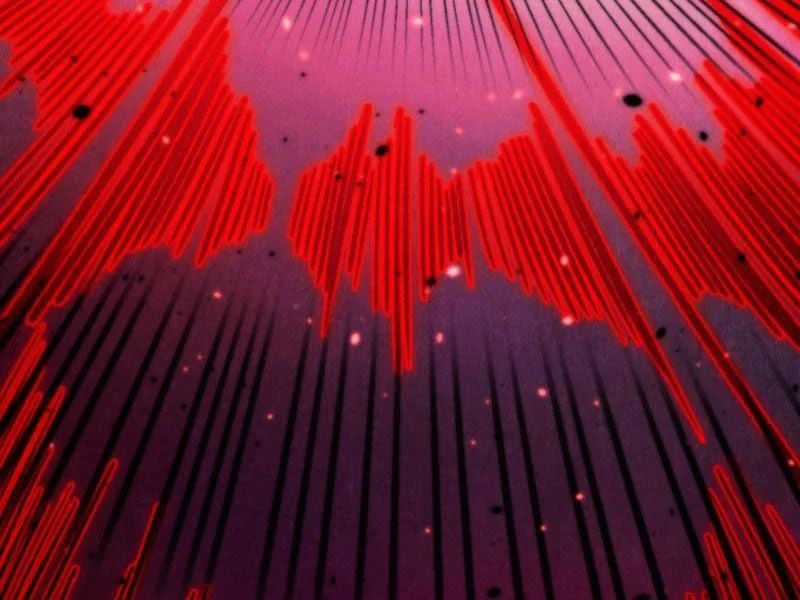 Vạn Cổ Chí Tôn - Chapter 486 - Trang 11