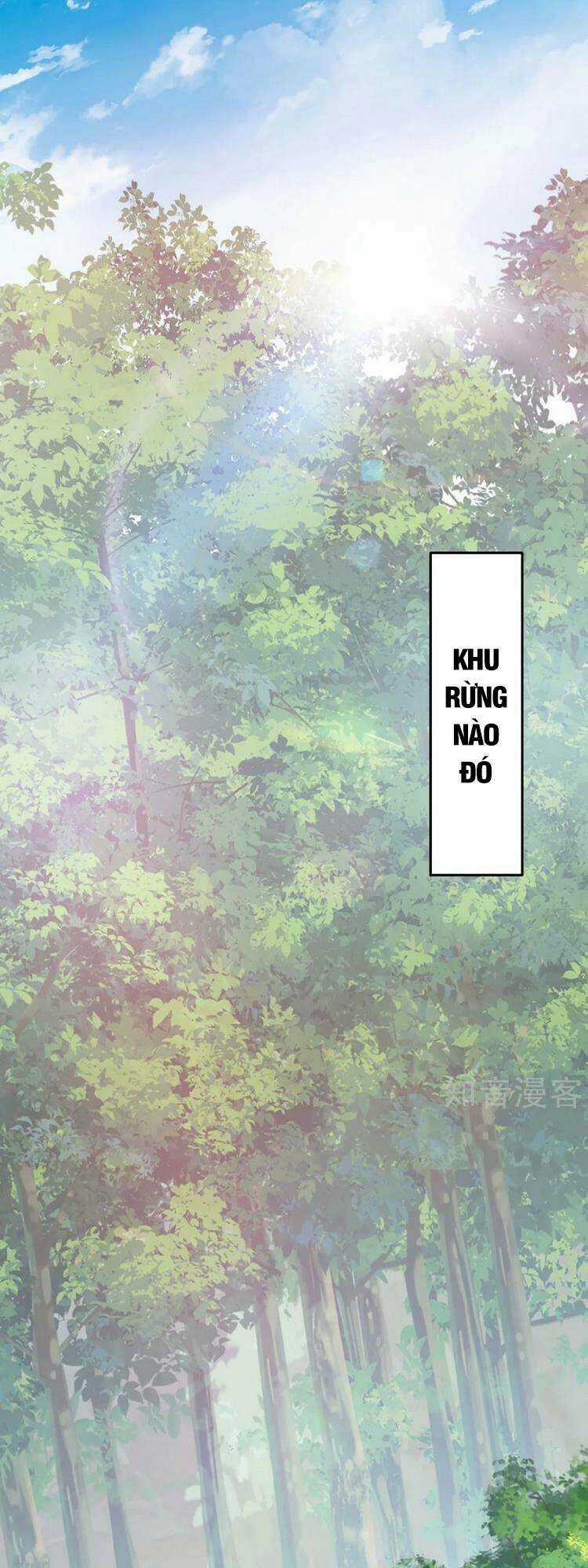 Vạn Cổ Đệ Nhất Tế - Chapter 214 - Trang 15