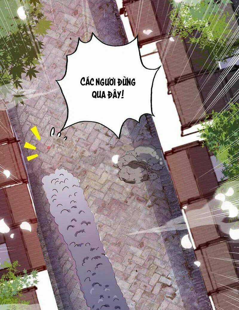 Vạn Cổ Đệ Nhất Tế - Chapter 99 - Trang 46