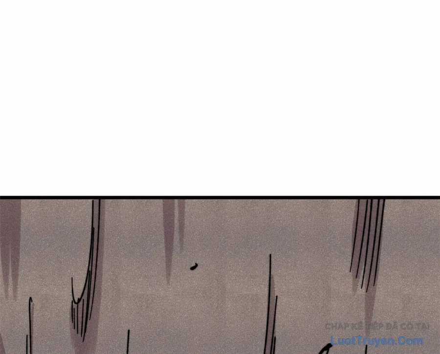 Vạn Cổ Tối Cường Tông - Chapter 496 - Trang 137