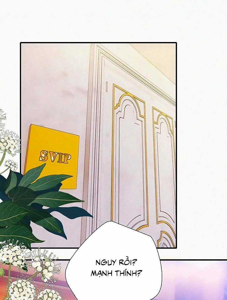 Vẫn Cứ Nuông Chiều - Chapter 25 - Trang 17