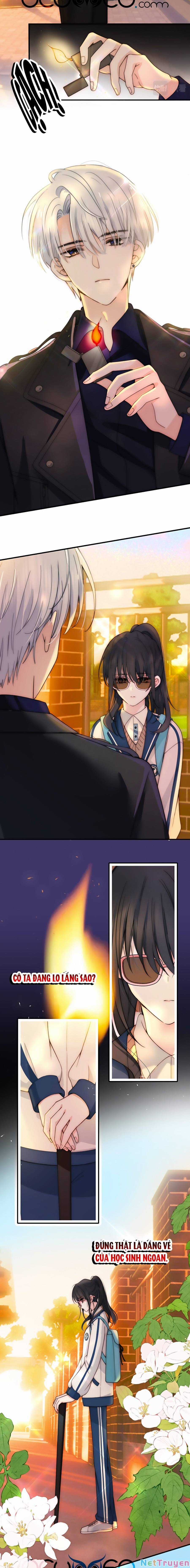 Vẫn Cứ Nuông Chiều - Chapter 4 - Trang 5