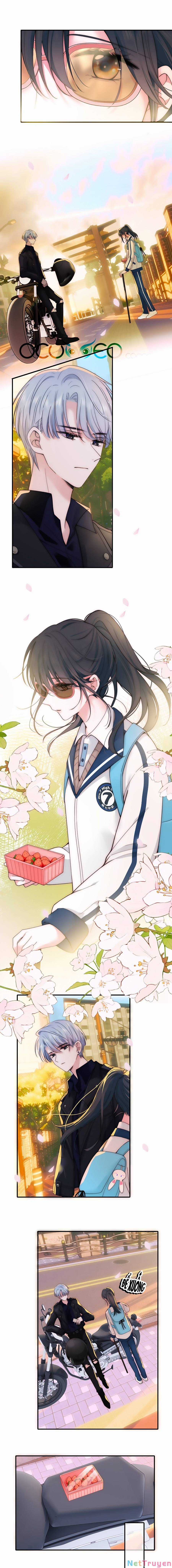 Vẫn Cứ Nuông Chiều - Chapter 4 - Trang 8