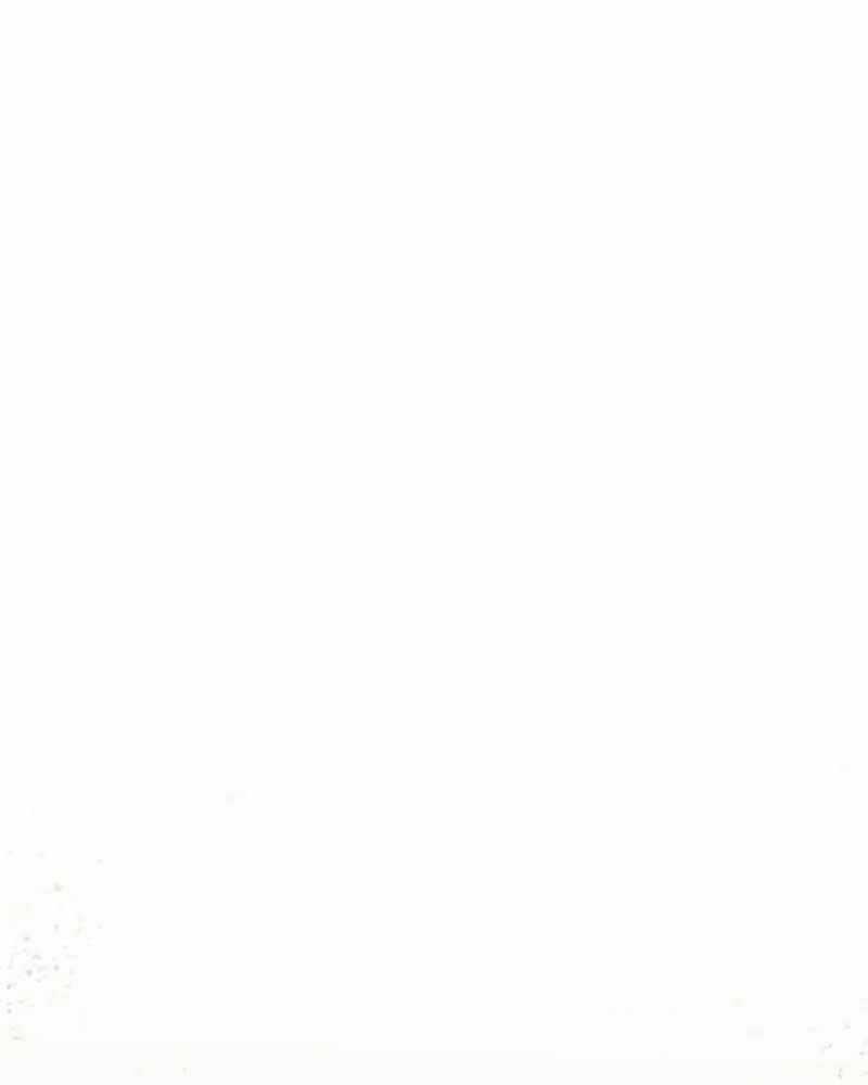 Ván Cược Của Chúa - Chapter 31 - Trang 76