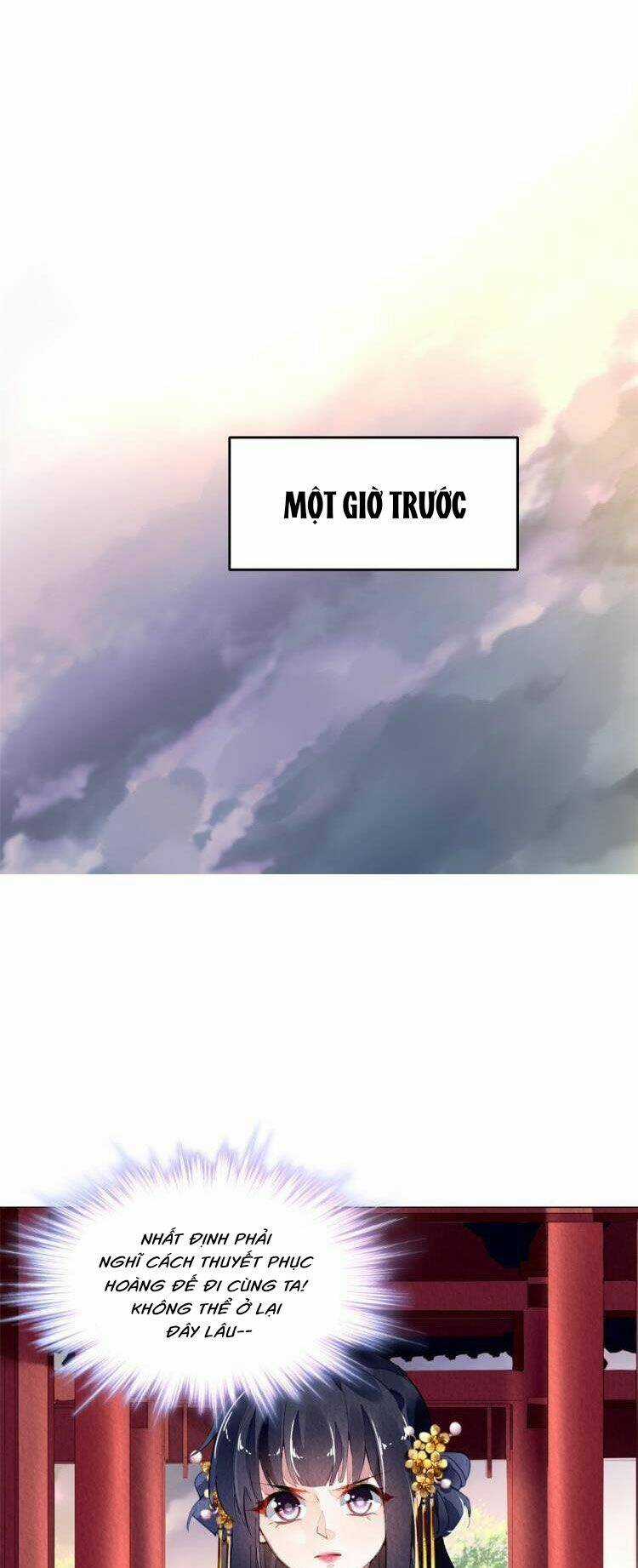 Vấn Đan Chu - Chapter 32 - Trang 31