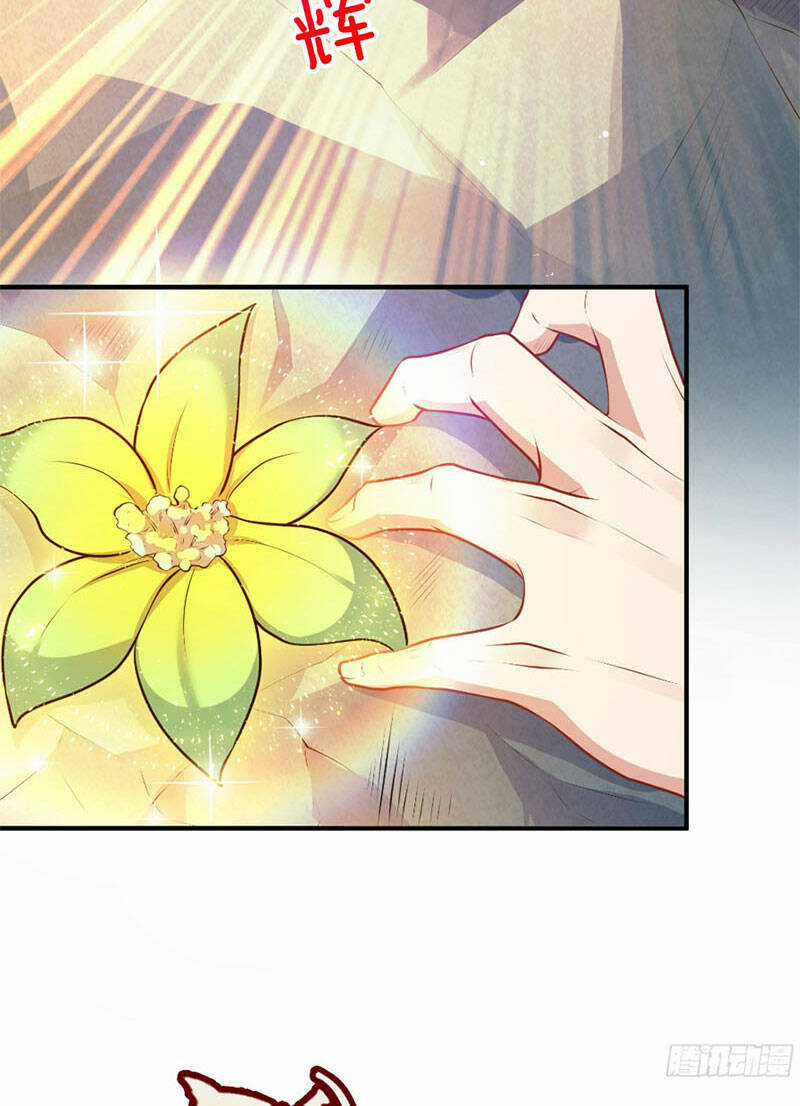 Vạn Đạo Chúa Tể - Chapter 14 - Trang 41