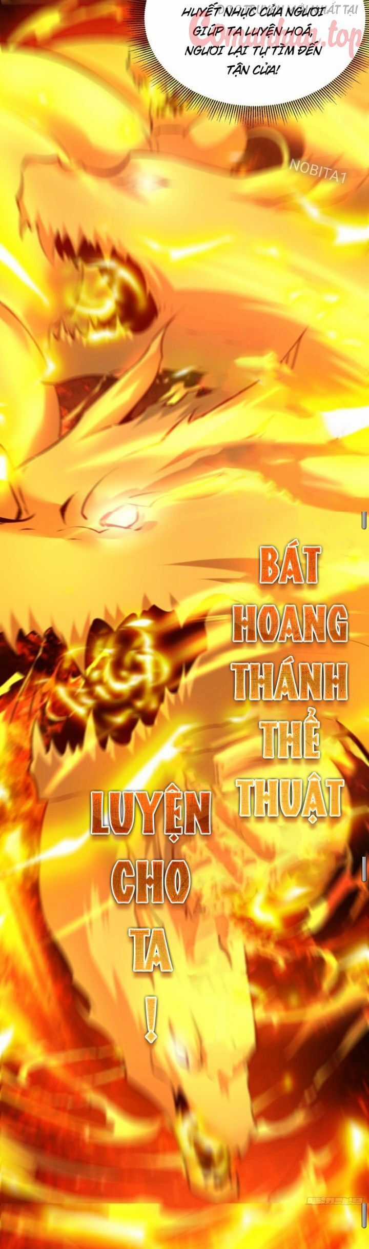 Vạn Đạo Chúa Tể - Chapter 31 - Trang 12