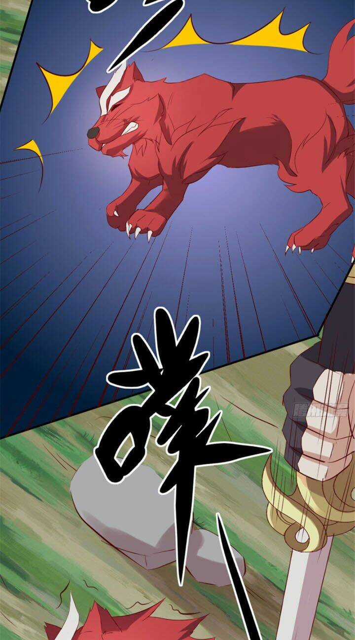 Vạn Đạo Long Hoàng - Chapter 19 - Trang 27