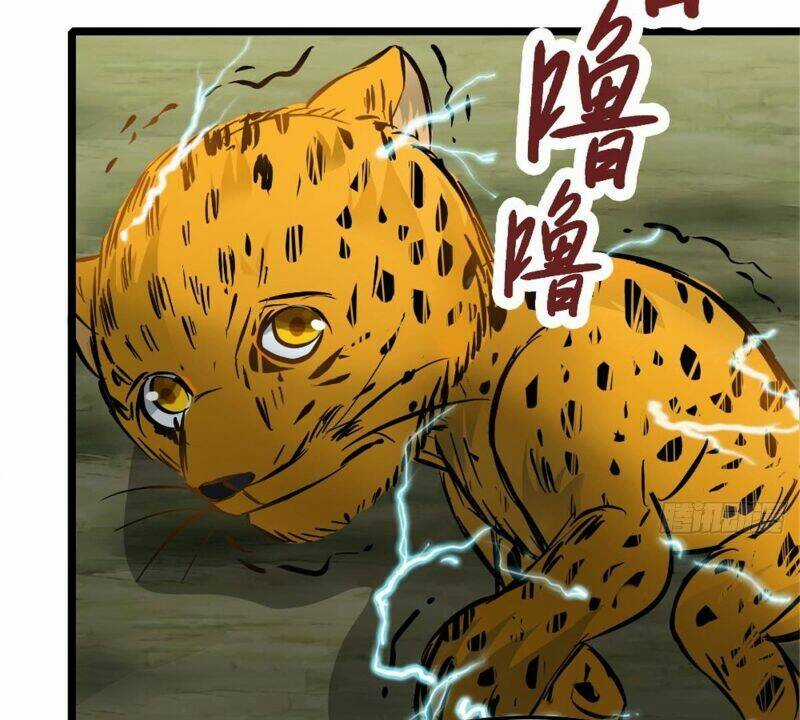 Vạn Đạo Long Hoàng - Chapter 22 - Trang 49