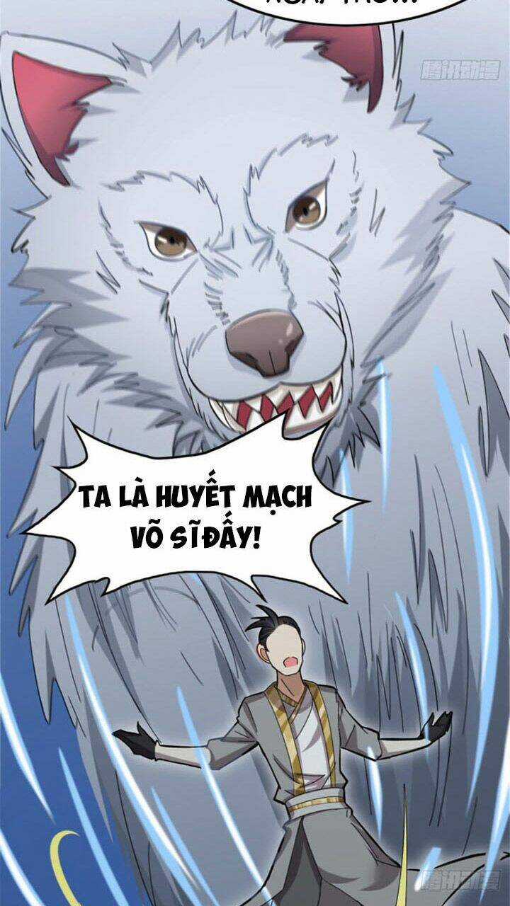 Vạn Đạo Long Hoàng - Chapter 5 - Trang 27