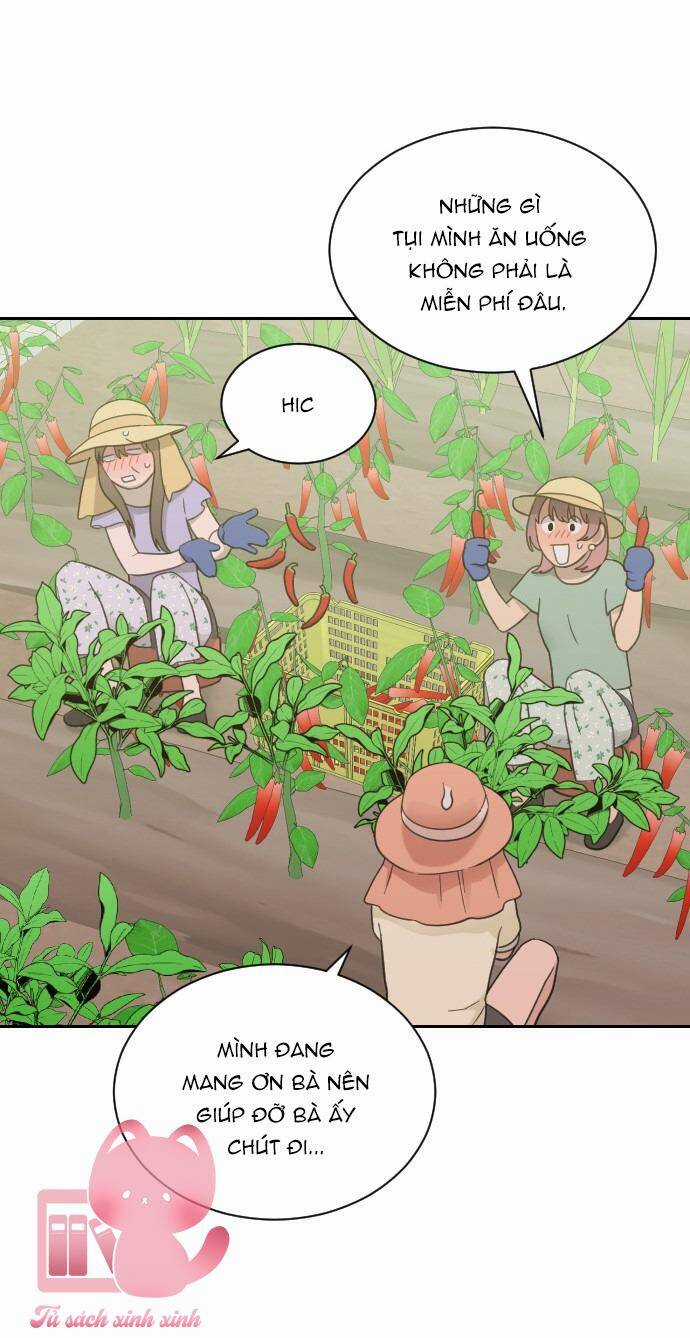 Vận May Không Ngờ - Chapter 71 - Trang 25