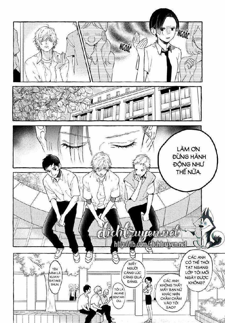 Vầng Trăng Chiều Rực Rỡ - Chapter 5 - Trang 17