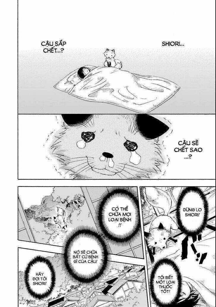 Vị Thần Ma Cà Rồng - Chapter 2 - Trang 16