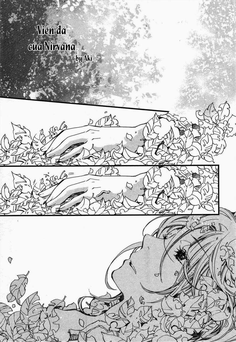 Viên Đá Của Nirvana - Chapter 1 - Trang 2