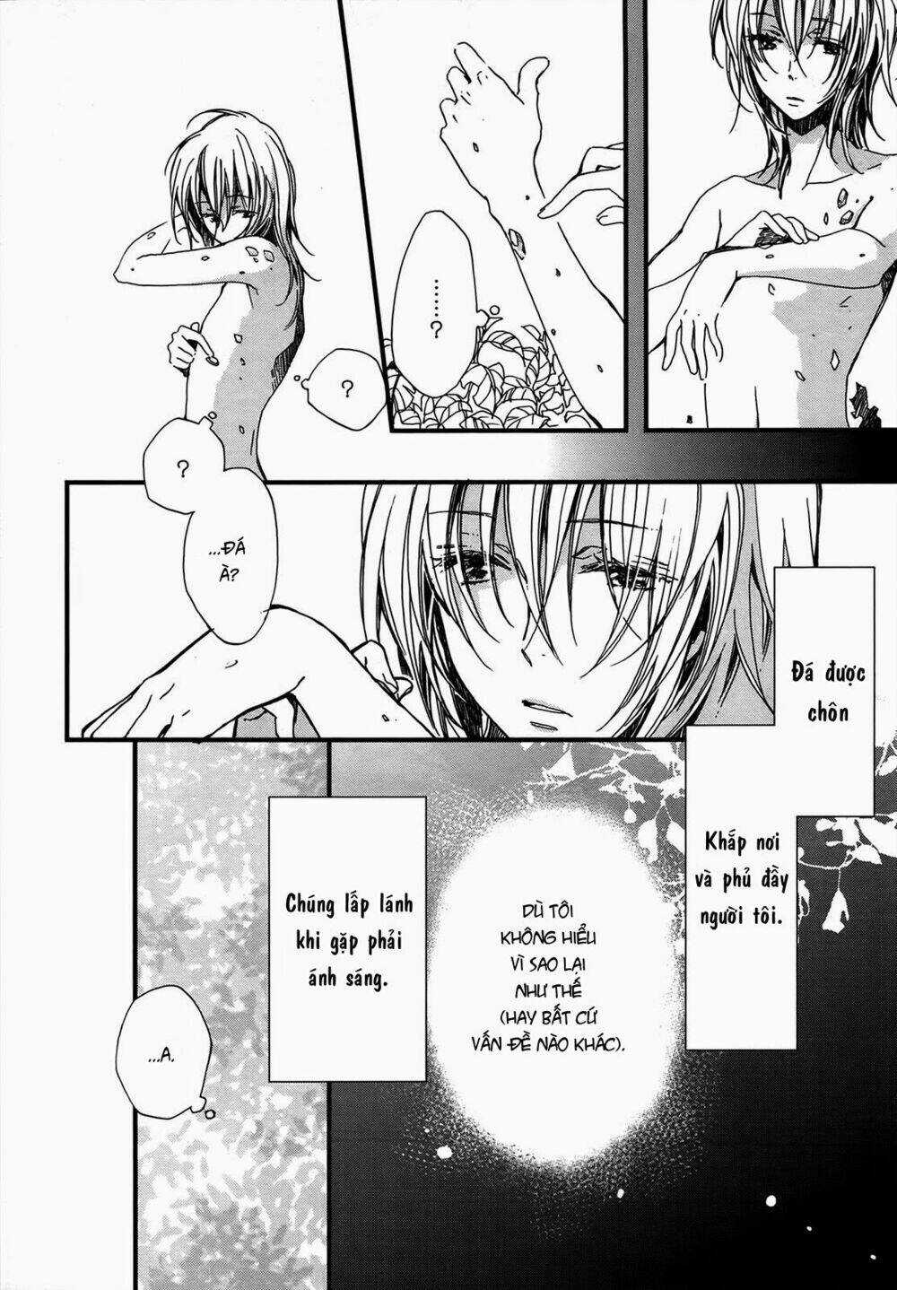 Viên Đá Của Nirvana - Chapter 1 - Trang 5