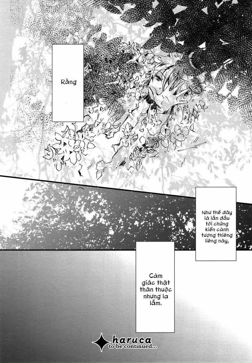 Viên Đá Của Nirvana - Chapter 4 - Trang 29