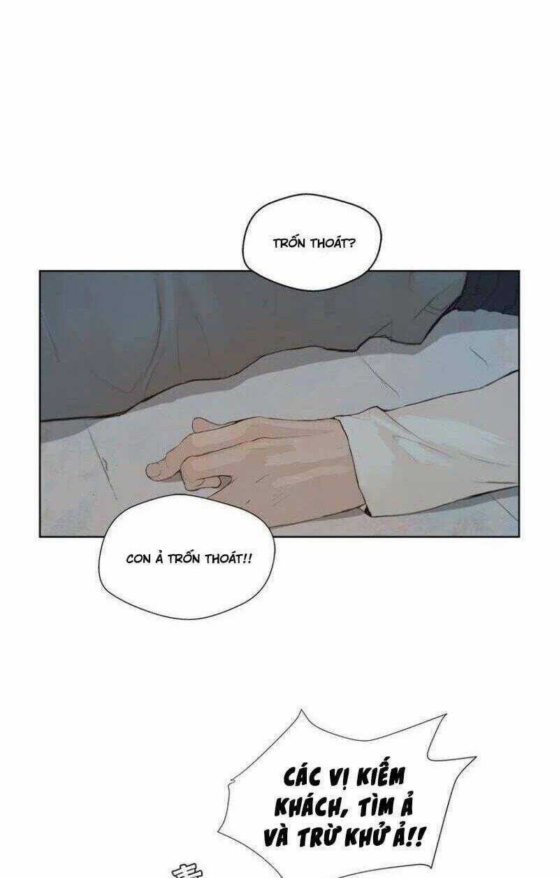 Vinh Quang Kiếm - Chapter 28 - Trang 37