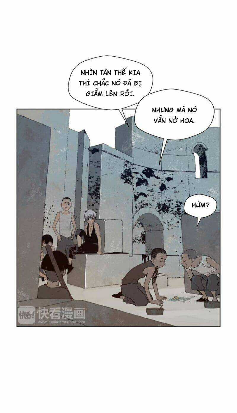 Vinh Quang Kiếm - Chapter 31 - Trang 30