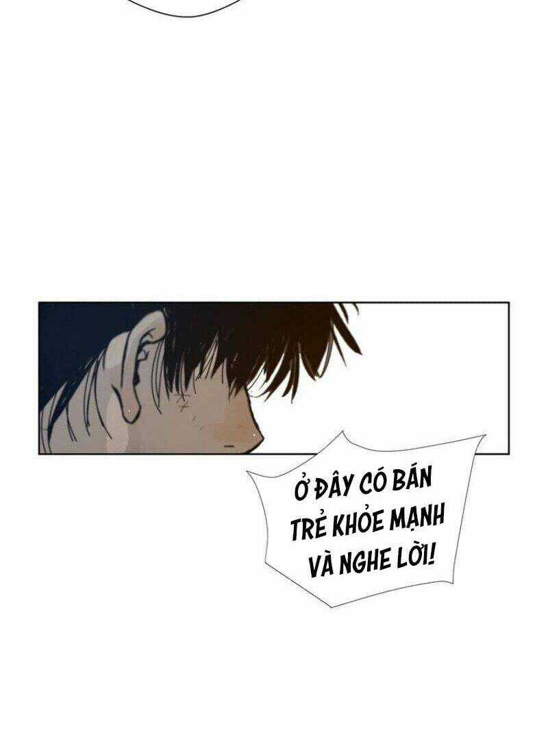 Vinh Quang Kiếm - Chapter 43 - Trang 19