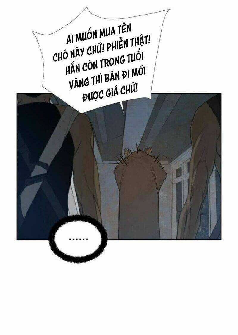 Vinh Quang Kiếm - Chapter 45 - Trang 28