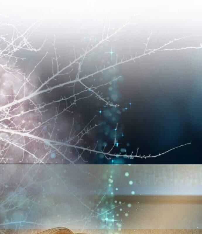 Vinh Quang Vô Tận - Chapter 29 - Trang 3