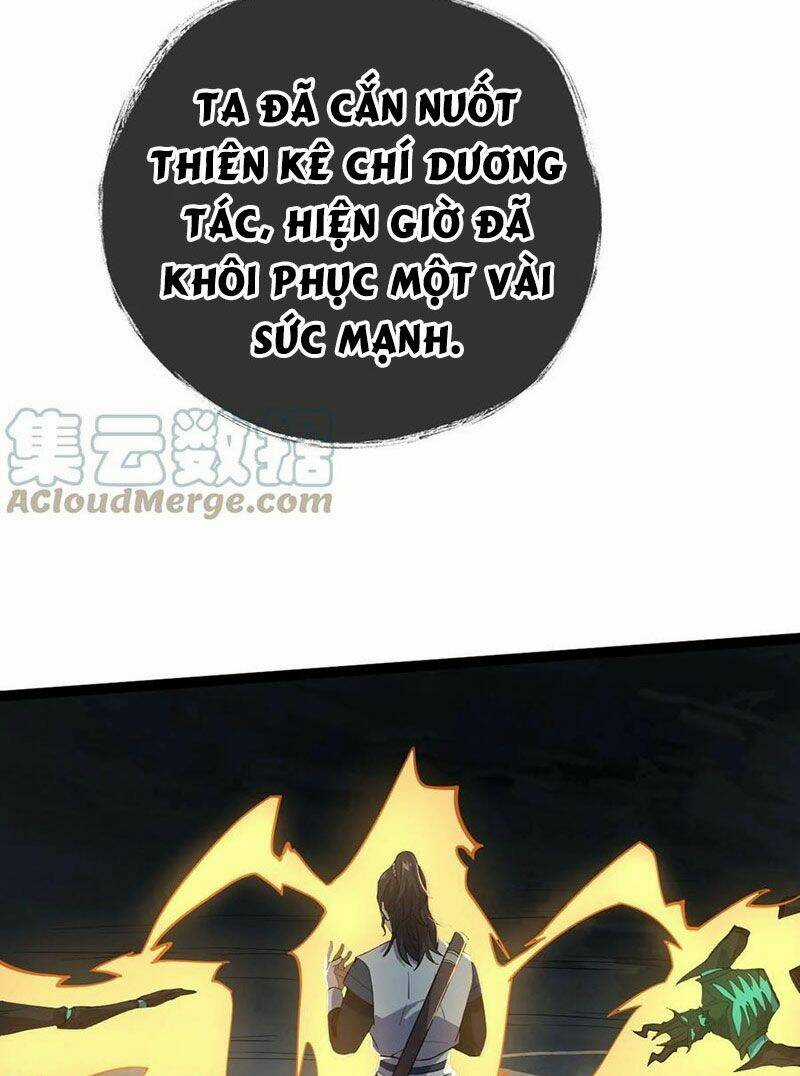 Vĩnh Sinh - Chapter 24 - Trang 18