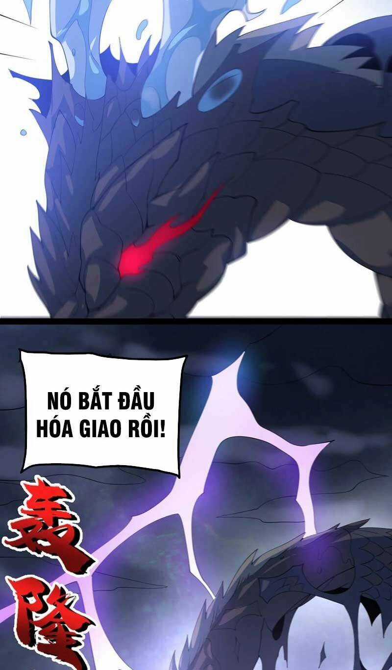 Vĩnh Sinh - Chapter 61 - Trang 11