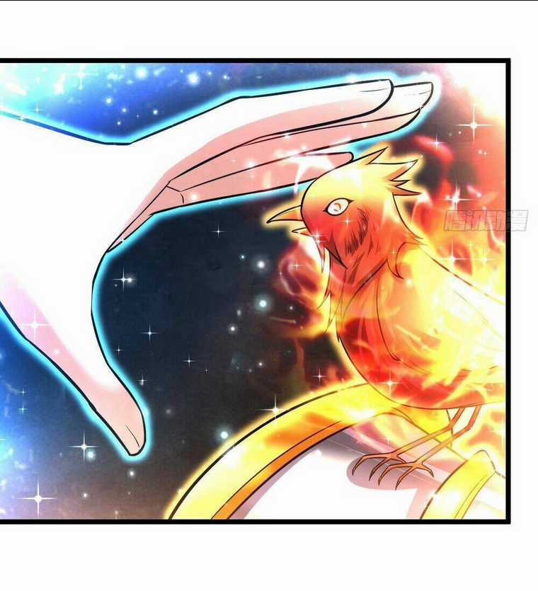 Võ Đạo Đỉnh Phong - Chapter 41 - Trang 12