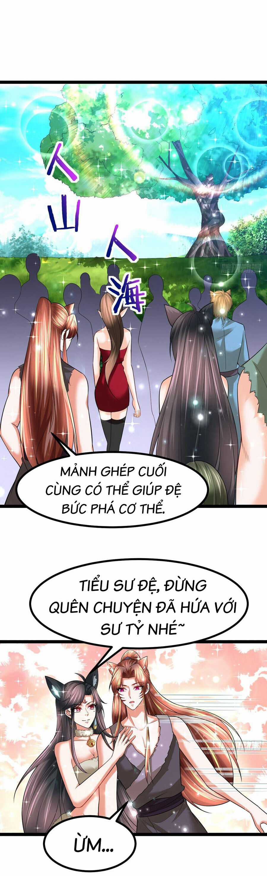 Võ Đạo Đỉnh Phong - Chapter 68 - Trang 5