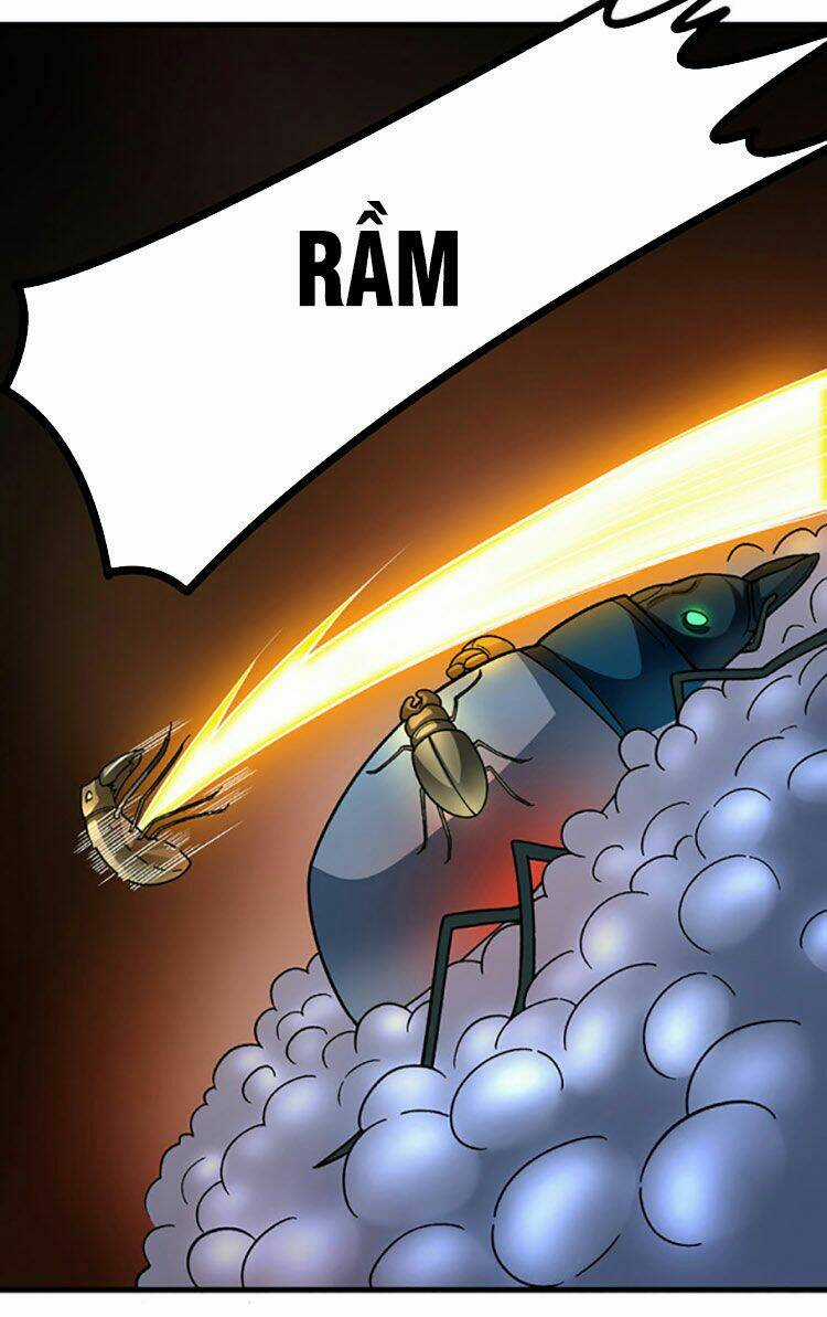 Võ Đạo Độc Tôn - Chapter 384 - Trang 4