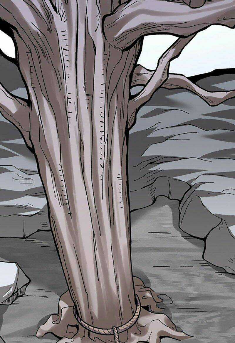 Võ Đạo Độc Tôn - Chapter 387 - Trang 15