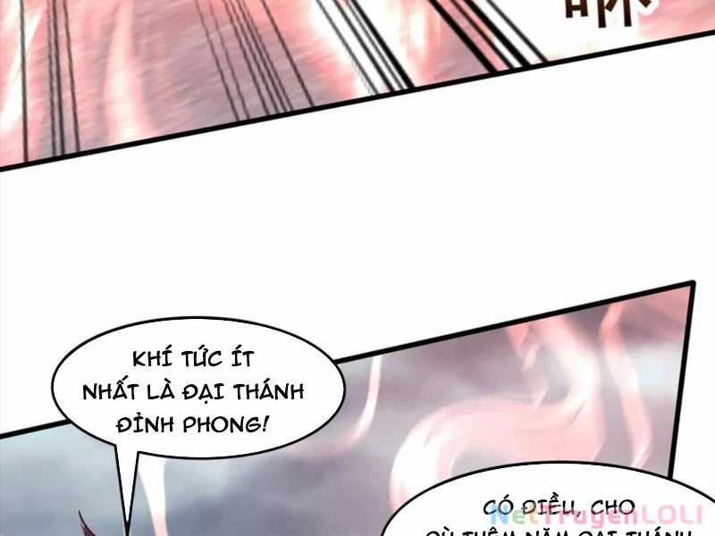 Vô Địch Đốn Ngộ - Chapter 216 - Trang 4
