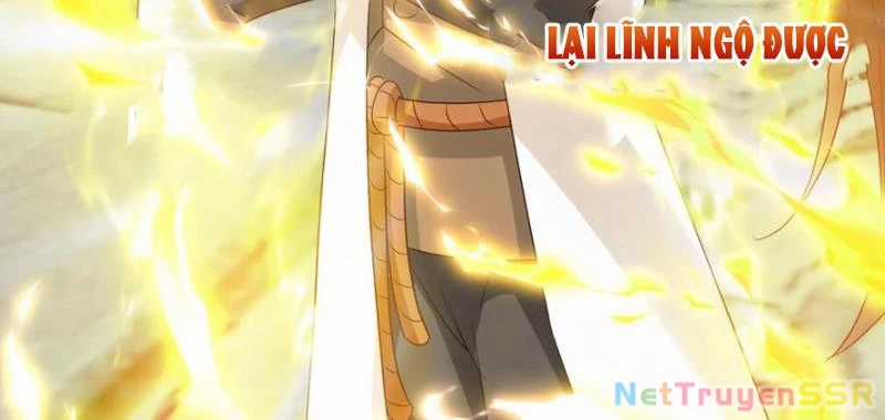 Vô Địch Đốn Ngộ - Chapter 241 - Trang 18