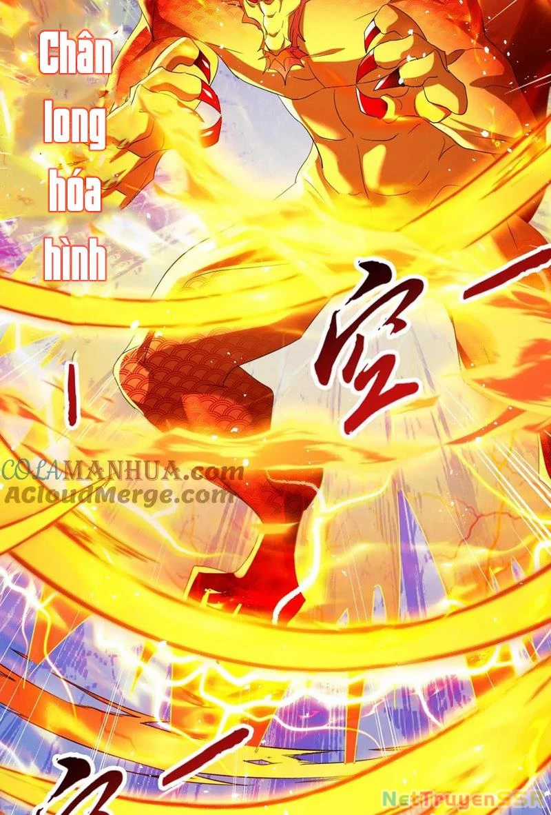 Vô Địch Đốn Ngộ - Chapter 252 - Trang 29