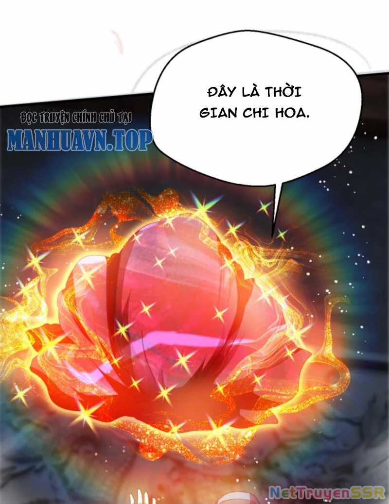 Vô Địch Đốn Ngộ - Chapter 263 - Trang 17