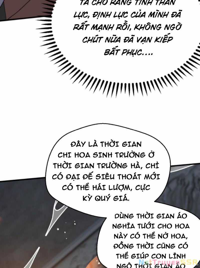 Vô Địch Đốn Ngộ - Chapter 263 - Trang 25