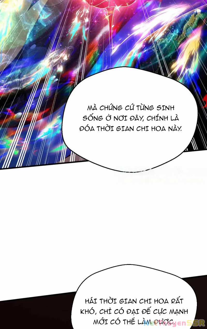 Vô Địch Đốn Ngộ - Chapter 265 - Trang 13