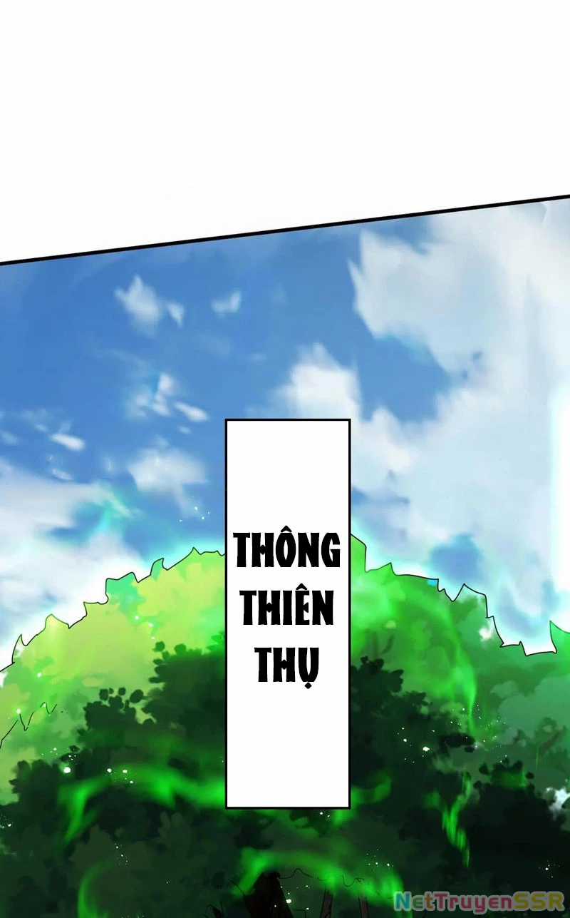 Vô Địch Đốn Ngộ - Chapter 265 - Trang 33